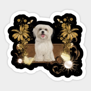 Cute maltese puppy Sticker